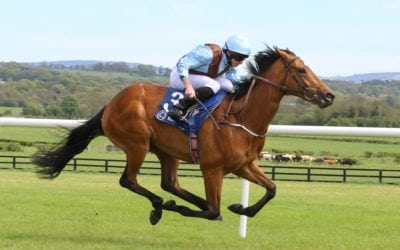 Fairyland impressive on Debut at Naas…