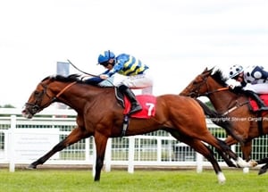 Rum Runner wins well at Sandown…