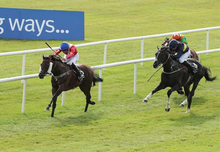 Larchmont Lad wins Group 2 Minstrel Stakes at the Curragh…