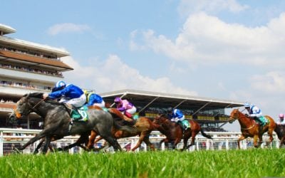 Yafta wins the Group 3 Hackwood Stakes…
