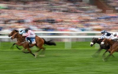 Fairyland wins the Group 2 Lowther Stakes…