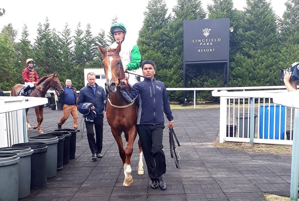 Kuwait Currency impressive in Lingfield…