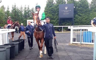 Kuwait Currency impressive in Lingfield…