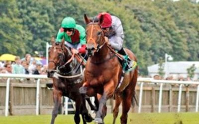 Medahim wins in Goodwood…