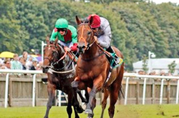 Medahim wins in Goodwood…