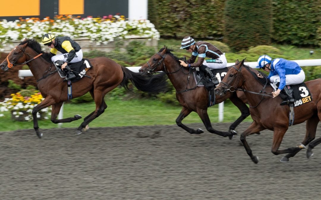 War Glory wins London Mile Handicap…