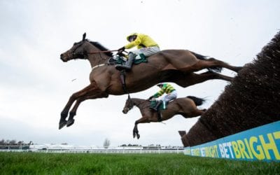 Lostintranslation wins Grade 2 Novices Chase in Cheltenham…