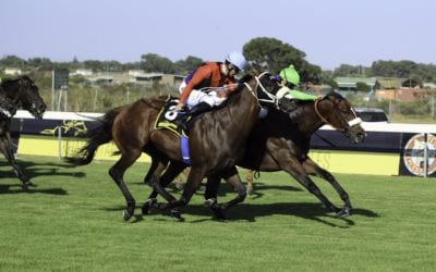 Kasimir wins Grade 2 Diadem Stakes in South Africa…