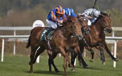 Never No More wins Listed 2,000 Guineas Trial Stakes…