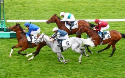 Barney Roy wins Listed in France…