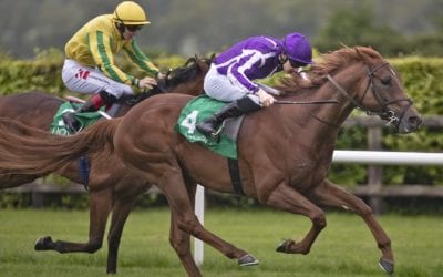 Western Australia wins Listed Yeats Stakes…