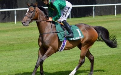 Limato wins Gr. 3 Criterion Stakes…