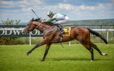 Beat Le Bon Impressive in Goodwood…