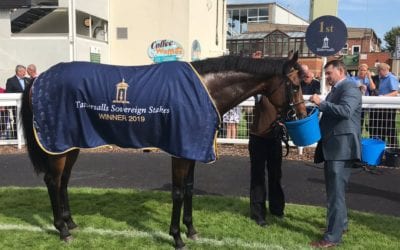 Kick on wins Group 3 Tattersalls Sovereign Stakes…