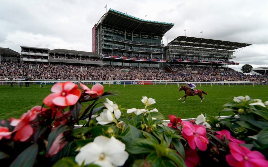 Mums Tipple wins the Goffs UK Premier Yearling Stakes…