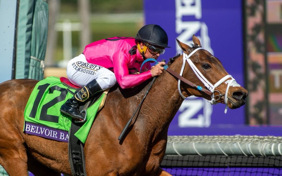 Belvoir Bay wins the Breeders Cup Turf Sprint Grade 1 in good style…