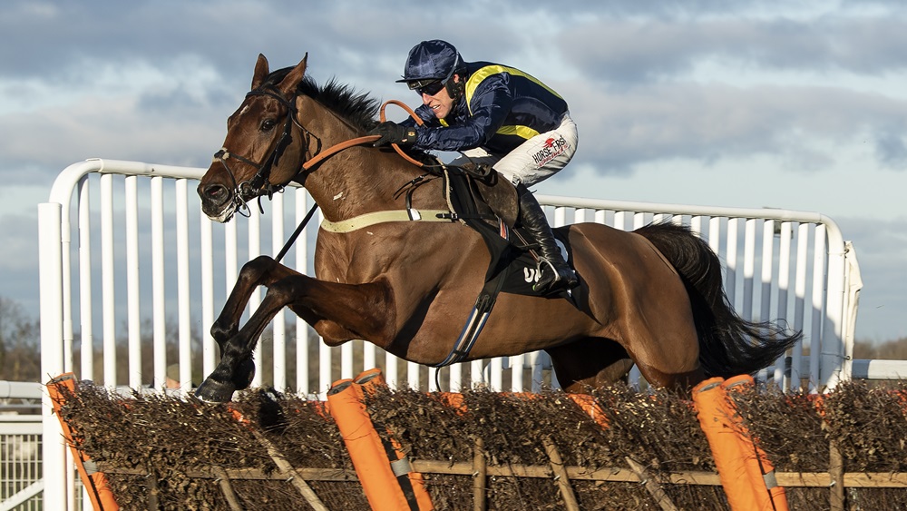 Fiddlerontheroof wins the Grade 1 Unibet Tolworth Novices Hurdle…