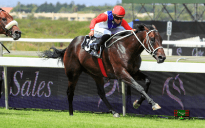 Count Jack wins the CTS Mile in South Africa…