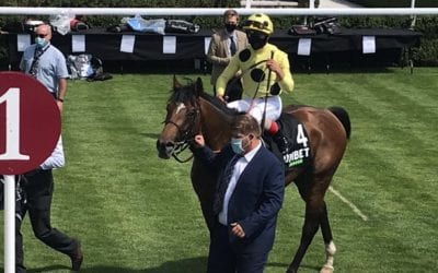 Mambo Nights wins in Goodwood