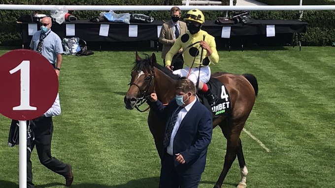 Mambo Nights wins in Goodwood