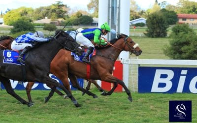 Kasimir wins Grade 3 in South Africa