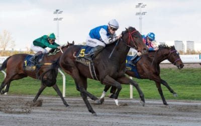 No Short Cuts wins 2yo Horse of the Year in Norway…