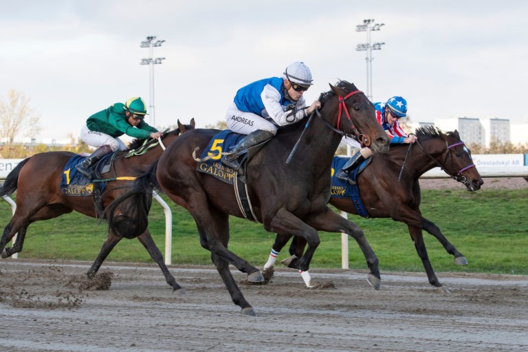 No Short Cuts wins 2yo Horse of the Year in Norway…