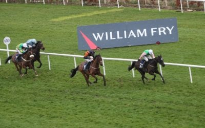 Maze Runner Bolts Up at Leopardstown…