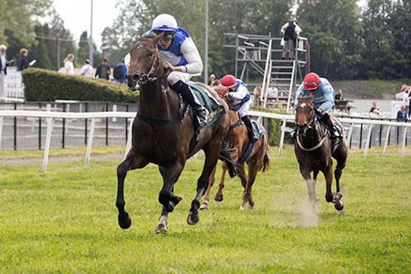 Like A King wins Norsk 2000 Guineas…