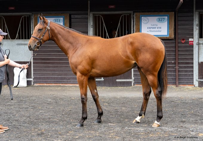 Busy Few Days at Doncaster Yearling Sales…