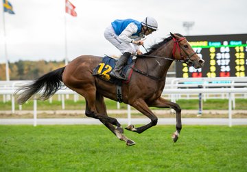 Lot of Joy wins the Swedish St Leger…