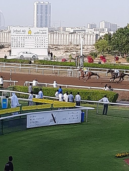 Lost Eden wins the Listed Jebel Ali Stakes…