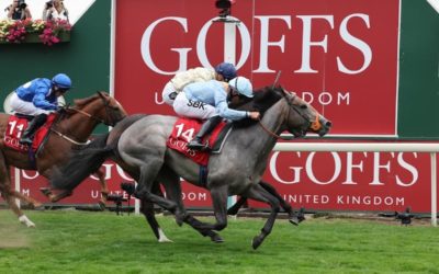 Shouldvebeenaring lands the Goffs UK Harry Beeby Premier Yearling Sale Stakes…