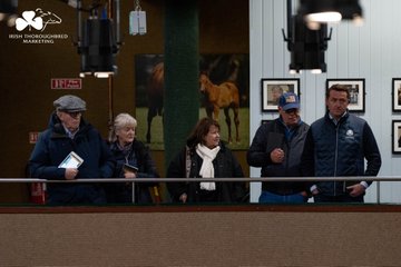Stall Perlen and Peter and Ross Doyle Bloodstock Ltd