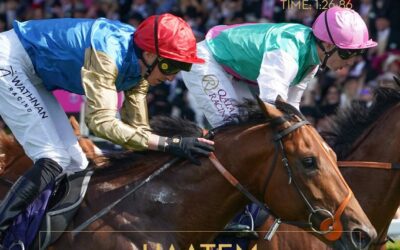 Haatem wins Group 3 at Royal Ascot…