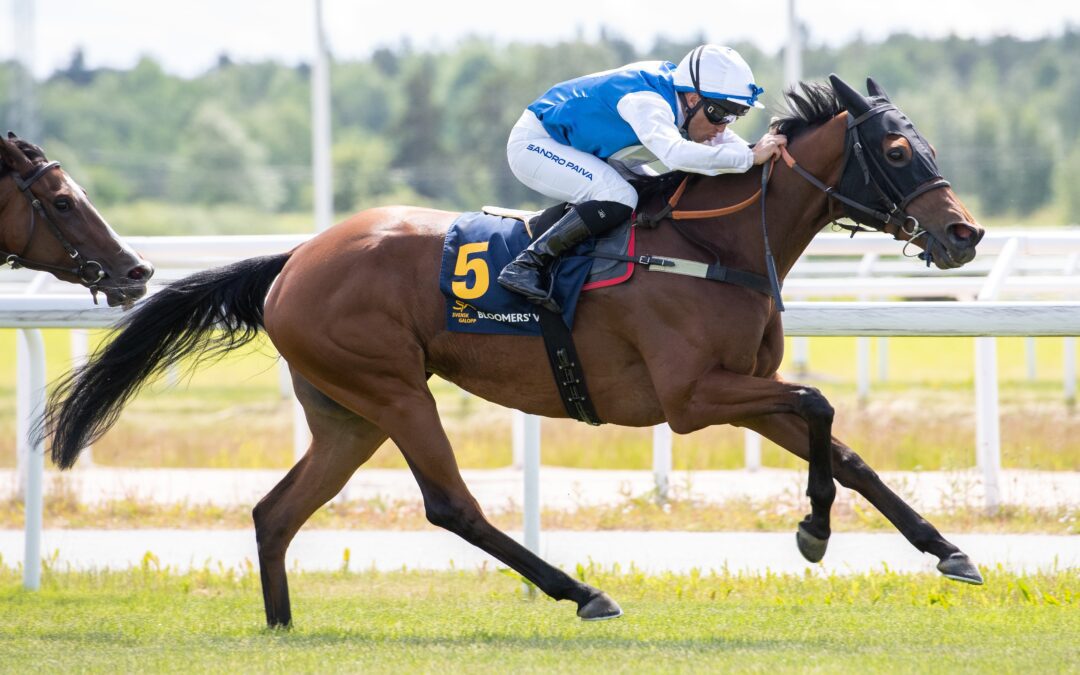 Mystery Nights wins Listed in Sweden…
