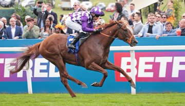 Perscia Wins in Epsom…