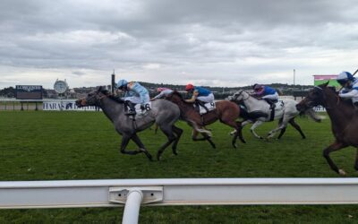 Shouldvebeenaring wins Group 3 in France…