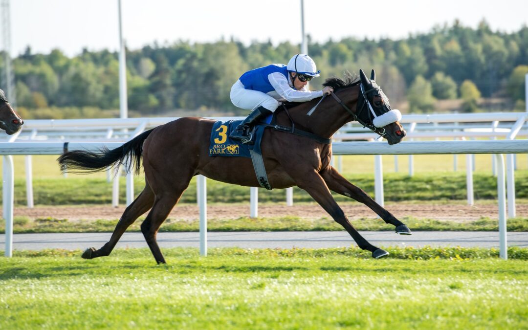 Crystal Love Very Impressive in Sweden…