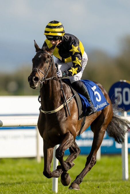 Sortudo impressive in Fairyhouse…