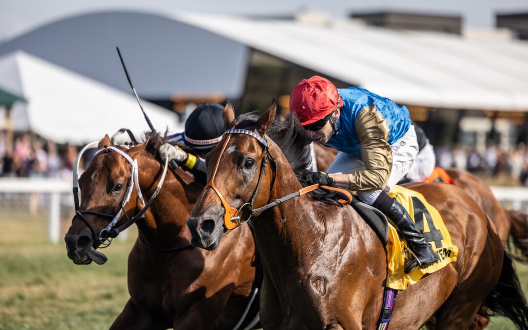 Haatem wins The Grade 3 Mint Millions in USA…