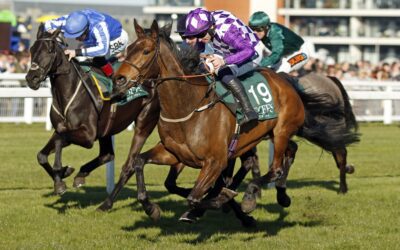 Lady Hope wins the Goffs Hundred Grand Bumper…