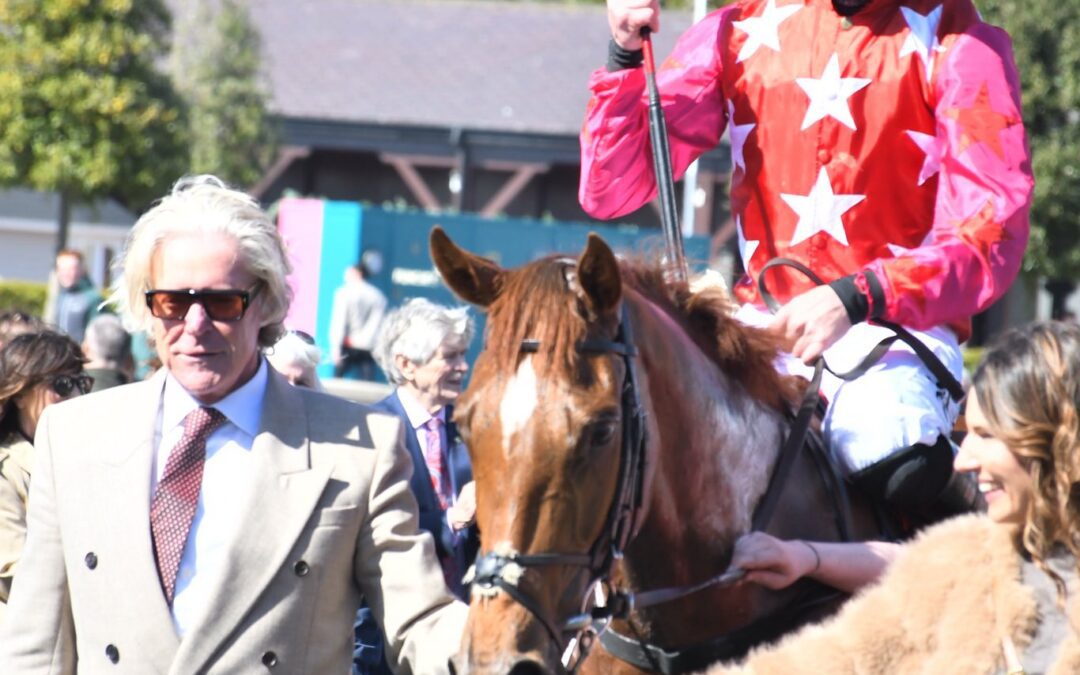 Quinta Do Lago wins in Punchestown…