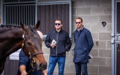 Great couple of days at Goffs Arkle Sale…