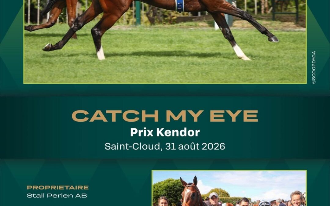 Catch My Eye Impressive in France…