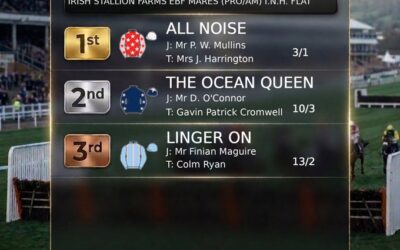 All Noise Impressive On Debut…