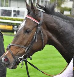 Carla Ridge wins Listed Again in Curragh…