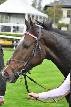 Carla Ridge wins Listed Again in Curragh…