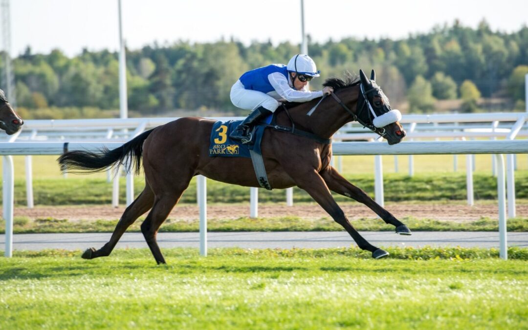 Crystal Love 15th September 2024