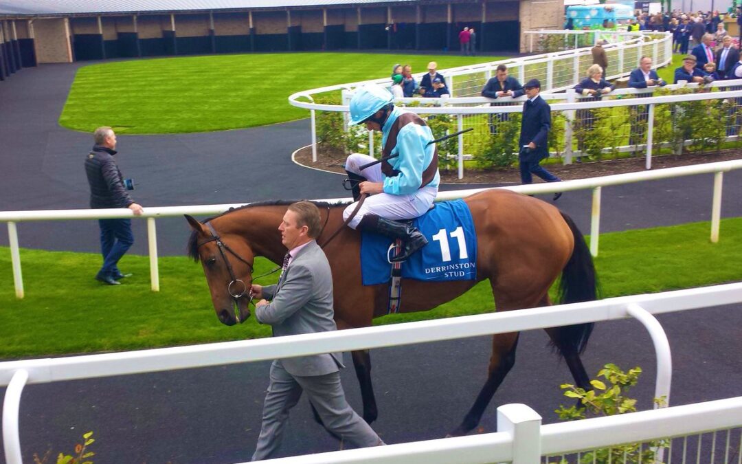 Fairyland 15th September 2019 2